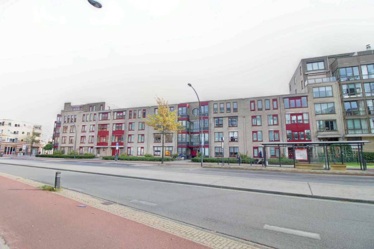 Afbeelding 3 van De Thiemshof